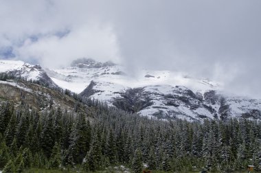 Icefield Parkway Jasper National Park, Alberta, Kanada