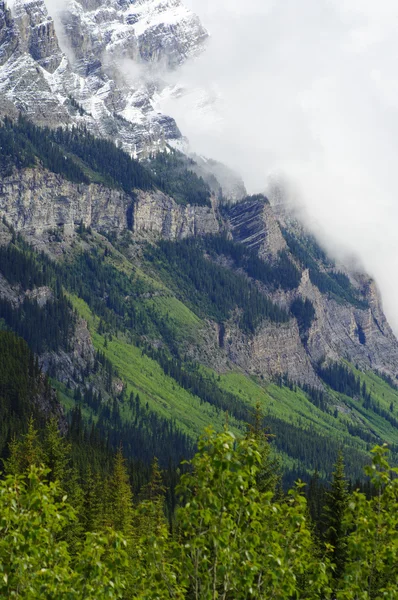 Icefield Parkway i Jasper nasjonalpark, Alberta, Canada – stockfoto