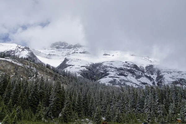 Icefield Parkway en Jasper National Park, Alberta, Canadá — Foto de Stock