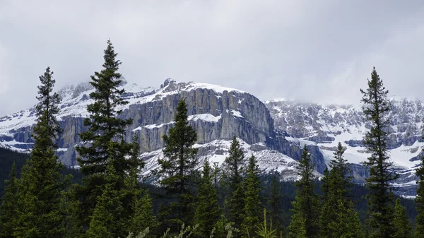 Icefield Parkway в Національний парк Джаспер, Альберта, Канада — стокове фото