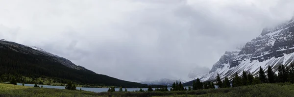 ジャスパー国立公園、アルバータ、カナダの氷原パークウェイ — ストック写真