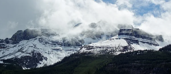 Icefield Parkway в Національний парк Джаспер, Альберта, Канада — стокове фото