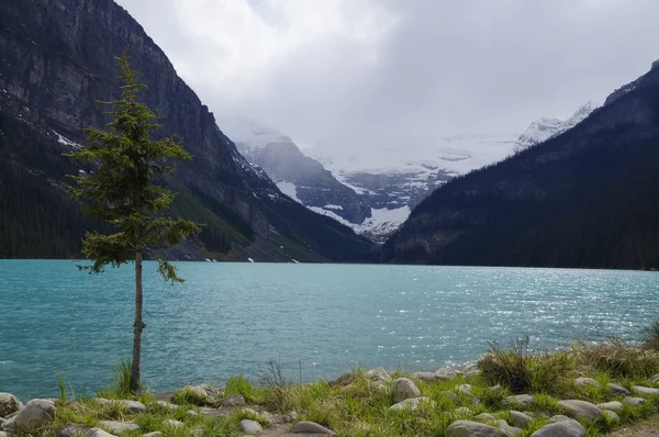 LAKE LOUISE, CANADA - MAY 28, 2016: View of the famous lake Louise. Lake Louise is the second most-visited destination in the Banff National Park.