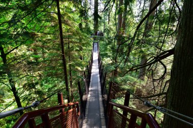 VANCOUVER, BRITISH COLUMBIA, CANADA, 31 Mayıs 2019: Capilano Nehri Bölge Parkı 'nı keşfeden ziyaretçiler, Capilano, Capilano Askı Köprüsü' nün 460 fit uzunluğunda ve nehir üzerinde 230 metre yüksekliğindedir..