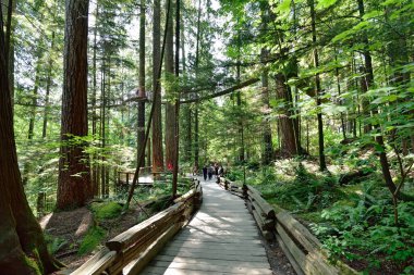 VANCOUVER, BRITISH COLUMBIA, CANADA, 31 Mayıs 2019: Capilano Nehri Bölge Parkı 'nı keşfeden ziyaretçiler, Capilano, Capilano Askı Köprüsü' nün 460 fit uzunluğunda ve nehir üzerinde 230 metre yüksekliğindedir..