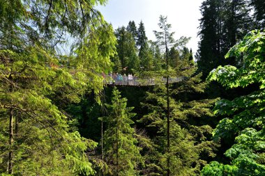 VANCOUVER, BRITISH COLUMBIA, CANADA, 31 Mayıs 2019: Kuzey Vancouver 'daki Capilano Askı Köprüsü parkını keşfeden ziyaretçiler, Capilano Askı Köprüsü nehrin 260 fit uzunluğunda ve 230 metre üzerinde yer almaktadır..