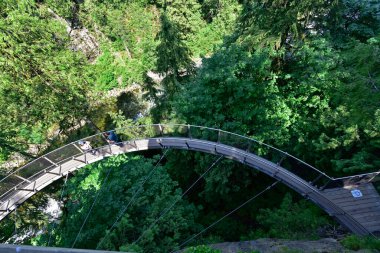 VANCOUVER, BRITISH COLUMBIA, CANADA, 31 Mayıs 2019: yağmur ormanlarında Capilano Uçurumu 'nu keşfeden ziyaretçiler. Popüler asılmış yürüyüş yolları, Capilano Nehri 'nin 230 metre yukarısındaki granit kayalıklardan dışarı çıkar..