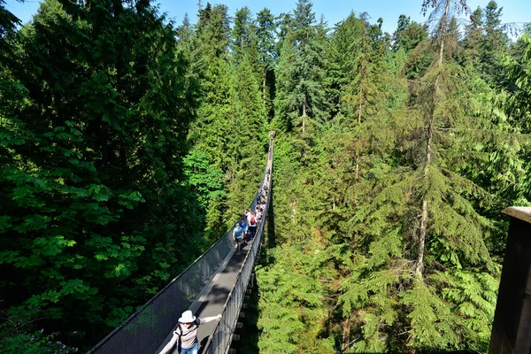 Vancouver British Columbia Canada May 2019 Visitors Exploring Capilano Suspension — Stock Photo, Image