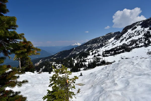 Snow on the Coastal Mountains in British Columbia