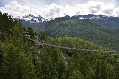 SQUAMISH, BC, CANADA, HAZİRAN 02, 2019: Arkaplanda kar tepeli Gökyüzü Pilot Dağı manzarası olan Askı Köprüsü 'nü geçen insanlar