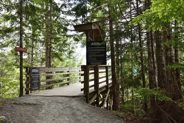 Whistler Canada June 2019 Whistler Bungee Bridge One Attraction Sea — Stock Photo, Image