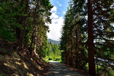 Whistler, Kanada 'daki Kayıp Göl' ün etrafında bir çakıl yolu yüzmek, balık tutmak, yüzmek, yüzmek, yürüyüş yapmak ve bisiklete binmek için harika bir yer.