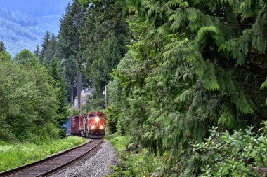 Whistler, BC, CANADA, HAZİRAN 04, 2019: Whistler, British Columbia, Kanada 'daki Rainbow Park' ta Tren Rayları