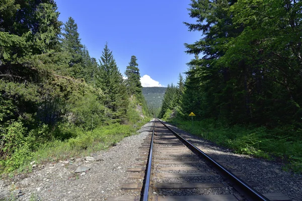 Tory Kolejowe Rainbow Park Whistler Kolumbia Brytyjska Kanada — Zdjęcie stockowe