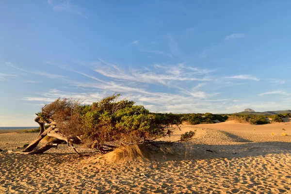 Dune Piscinas Sardinia Italy — Stock Photo, Image