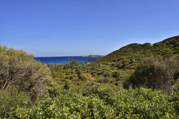 在西班牙塔和意大利撒丁岛的海滩上 有着常绿马奎斯和纯湖滨的典型景观 — 图库照片
