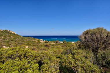 İspanya Kulesi ve İtalya, Sardunya 'daki Mare Pintau plajı üzerinde ebedi yeşil maquis ve saf tembel kıyıları olan tipik bir manzara..