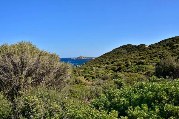 在西班牙塔和意大利撒丁岛的海滩上 有着常绿马奎斯和纯湖滨的典型景观 — 图库照片