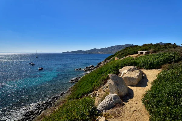 Sardunya Sardunya Talya Daki Spiaggia Mari Pintau Plajı Yakınlarındaki Saf Stok Fotoğraf