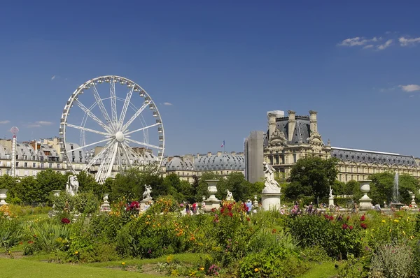 Ogród słynnego tuileries (jardin des tuileries) — Zdjęcie stockowe