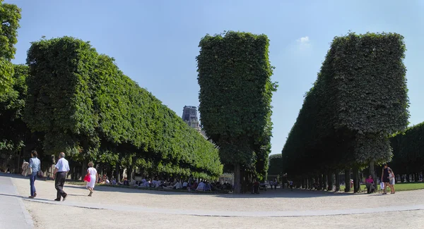 PARÍS - 2 DE JULIO: Jardín de Luxemburgo el 2 de julio de 2014 en París. El Palacio de Luxemburgo es la residencia oficial del Presidente del Senado francés — Foto de Stock