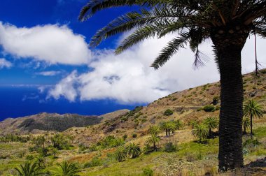 Arguamul kıyı şeridi görünümü, La Gomera, Kanarya Adaları, İspanya
