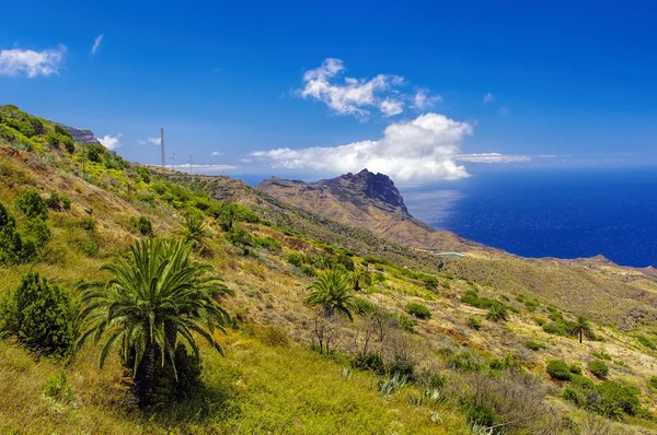 De Arguamul kustlijn weergave, La Gomera, Canarische eilanden, Spanje — Stockfoto