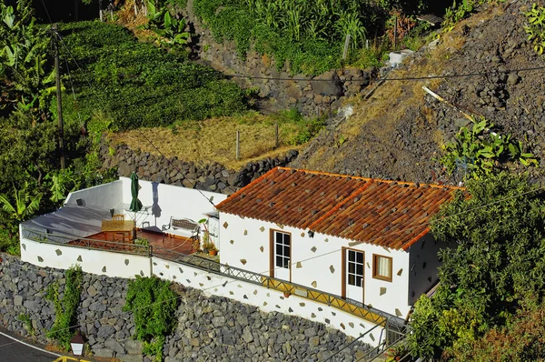 A lovely cottage among exotic plants — Stock Photo, Image