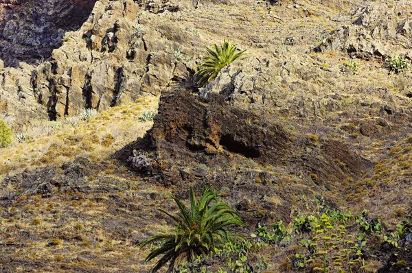 Isla de La Gomera. El Valle Gran Rey, Canarias, España —  Fotos de Stock