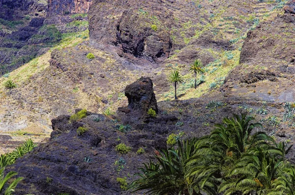 Isola di La Gomera. Valle Gran Rey, Canarie, Spagna — Foto Stock