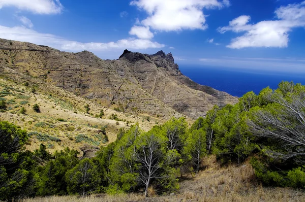 Venkovské krajiny nedaleko vesnice Taguluche, La Gomera, Kanárské ostrovy — Stock fotografie