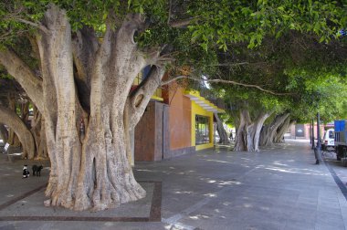 San Sebastian De La Gomera, Kanarya Adası, İspanya