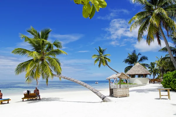 Туристы принимают солнечные ванны на тропическом пляже на Мальдивах — стоковое фото