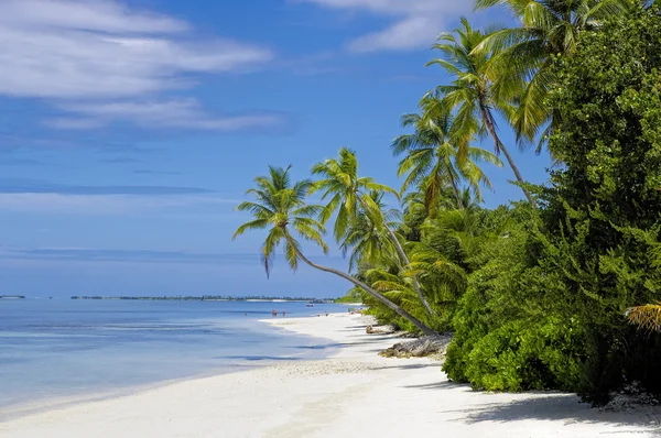 The sunny tropical lagoon on Maldives island — Stock Photo, Image
