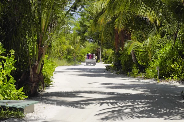 Resort staff go to work on February 10 morning 2015, Maldives — Stock Photo, Image