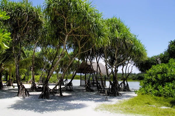 Lago en la isla Herathera, Maldivas — Foto de Stock