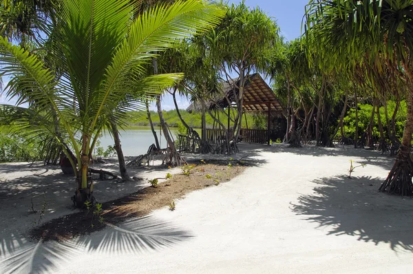 Lake on the Herathera island, Maldives — Stock Photo, Image