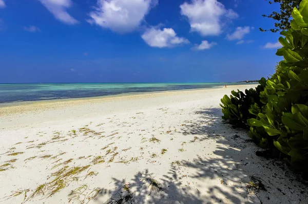 Słonecznej plaży tropikalnej wyspie Malediwy — Zdjęcie stockowe