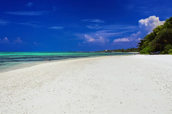 La plage tropicale ensoleillée sur l'île des Maldives — Photo