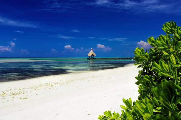 Słoneczny tropikalny laguny na wyspie Malediwy — Zdjęcie stockowe