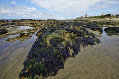 Dune ve Portekiz Kuzey Esposende kasaba çevresinde kumsalda.