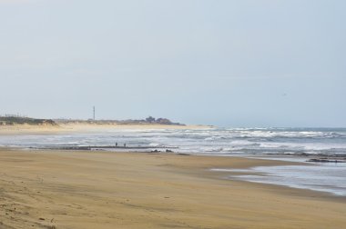 Parque doğal yapmak Litoral vicini Portekiz kuzeyde üstünde