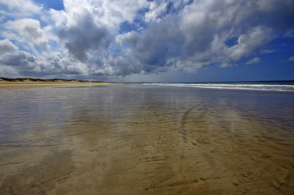 Düne und Strand im Norden Portugals in der Nähe der Stadt esposende. — Stockfoto