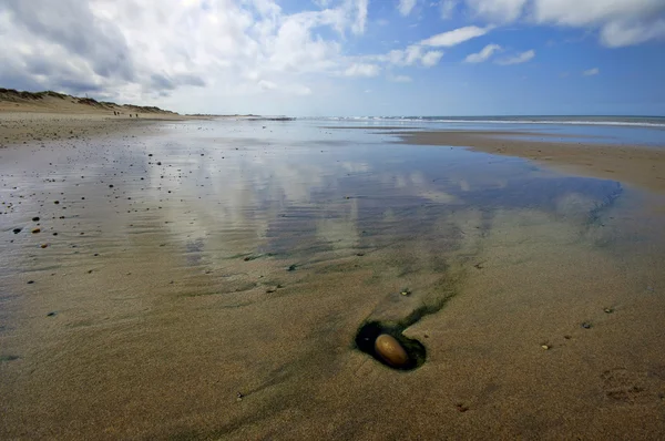 Sanddynerna och stranden på norra Portugal i närheten av Esposende staden. — Stockfoto
