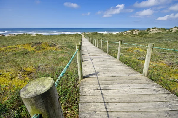 Duna e praia no norte de Portugal nas imediações da cidade de Esposende . — Fotografia de Stock