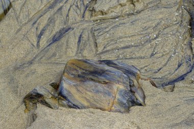 Kuzey Portekiz sahilde renkli taşlar