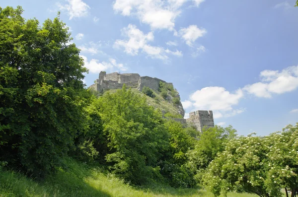 Castillo de Devin, Eslovaquia —  Fotos de Stock