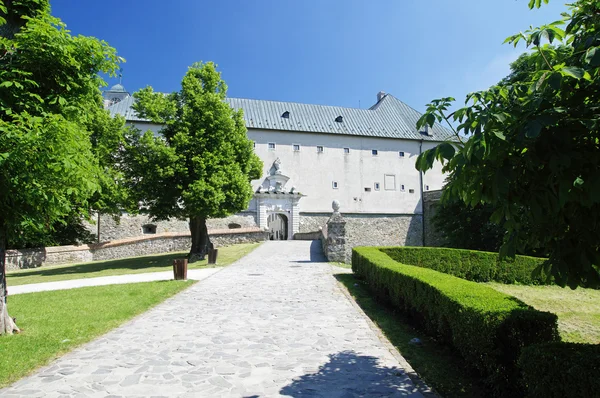 切尔韦尼卡门城堡，斯洛伐克 — 图库照片
