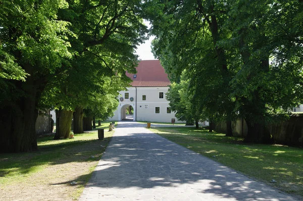 Cerveny Kamen Castle, Slovakien — Stockfoto