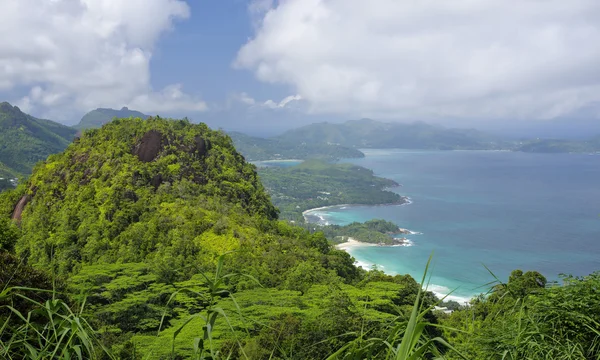 La costa dell'isola di Mahe - La foresta equatoriale in primo piano, Seychelles — Foto Stock